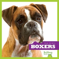 Book Cover for Boxers by Nadia Higgins