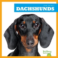 Book Cover for Dachshunds by Kaitlyn Duling