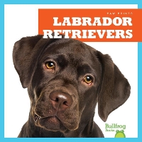 Book Cover for Labrador Retrievers by Jenna Lee Gleisner