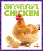 Book Cover for Life Cycle of a Chicken by Karen Kenney