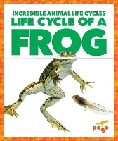 Book Cover for Life Cycle of a Frog by Karen Kenney