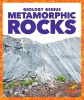 Book Cover for Metamorphic Rocks by Rebecca Pettiford