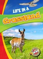 Book Cover for Life in a Grassland by Laura Hamilton Waxman