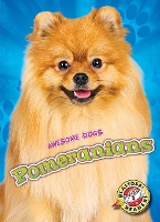 Book Cover for Pomeranians by Domini Brown