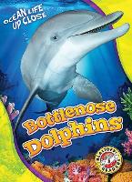 Book Cover for Bottlenose Dolphins by Kari Schuetz