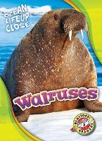 Book Cover for Walruses by Kari Schuetz