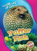 Book Cover for Puffer Fish by Rebecca Pettiford
