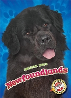 Book Cover for Newfoundlands by Nathan Sommer