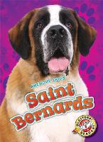 Book Cover for Saint Bernards by Nathan Sommer