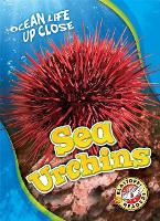 Book Cover for Sea Urchins by Heather Adamson