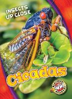 Book Cover for Cicadas by Christina Leaf