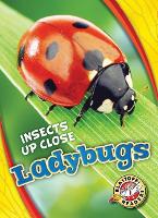 Book Cover for Ladybugs by Christina Leaf
