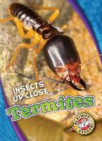 Book Cover for Termites by Patrick Perish