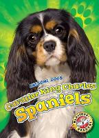 Book Cover for Cavalier King Charles Spaniels by Paige V. Polinsky