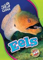 Book Cover for Eels by Nathan Sommer