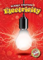 Book Cover for Electricity by Rebecca Pettiford