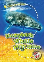 Book Cover for Humpback Whale Migration by Kari Schuetz