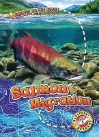 Book Cover for Salmon Migration by Kari Schuetz