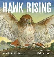 Book Cover for Hawk Rising by Maria Gianferrari