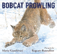 Book Cover for Bobcat Prowling by Maria Gianferrari