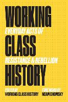 Book Cover for Working Class History by Noam Chomsky