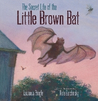 Book Cover for The Secret Life of the Little Brown Bat by Laurence Pringle