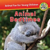 Book Cover for Animal Bedtime by Jennifer Bové