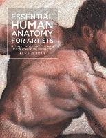 Book Cover for Essential Human Anatomy for Artists by Ken Goldman