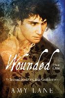 Book Cover for Wounded, Vol. 1 by Amy Lane