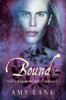 Book Cover for Bound, Vol. 2 by Amy Lane