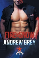 Book Cover for Fire and Snow Volume 4 by Andrew Grey