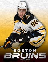Book Cover for Boston Bruins by William Arthur