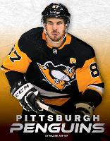 Book Cover for Pittsburgh Penguins by William Arthur