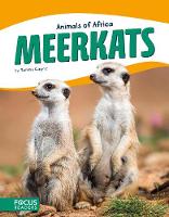 Book Cover for Meerkats by Tammy Gagne