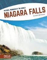 Book Cover for Niagara Falls by Lisa M. Bolt Simons