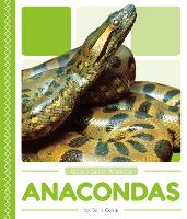 Book Cover for Anacondas by Golriz Golkar