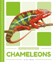 Book Cover for Chameleons by Golriz Golkar