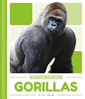 Book Cover for Gorillas by Golriz Golkar