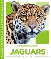 Book Cover for Rain Forest Animals: Jaguars by Golriz Golkar
