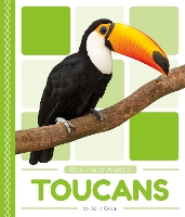 Book Cover for Rain Forest Animals: Toucans by Golriz Golkar