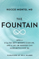 Book Cover for The Fountain by ROCCO DR MONTO