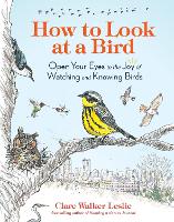 Book Cover for How to Look at a Bird by Clare Walker Leslie