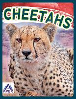 Book Cover for Cheetahs by Sophie Geister-Jones