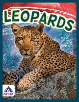 Book Cover for Leopards by Sophie Geister-Jones