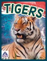 Book Cover for Tigers by Sophie Geister-Jones