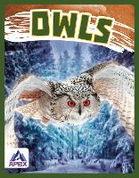 Book Cover for Birds of Prey: Owls by Golriz Golkar