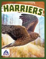 Book Cover for Birds of Prey: Harriers by Connor Stratton