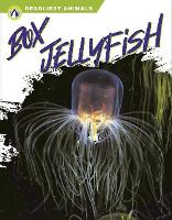 Book Cover for Box Jellyfish by Connor Stratton