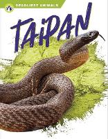 Book Cover for Taipan by Rachel Hamby