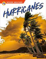 Book Cover for Hurricanes by Brienna Rossiter